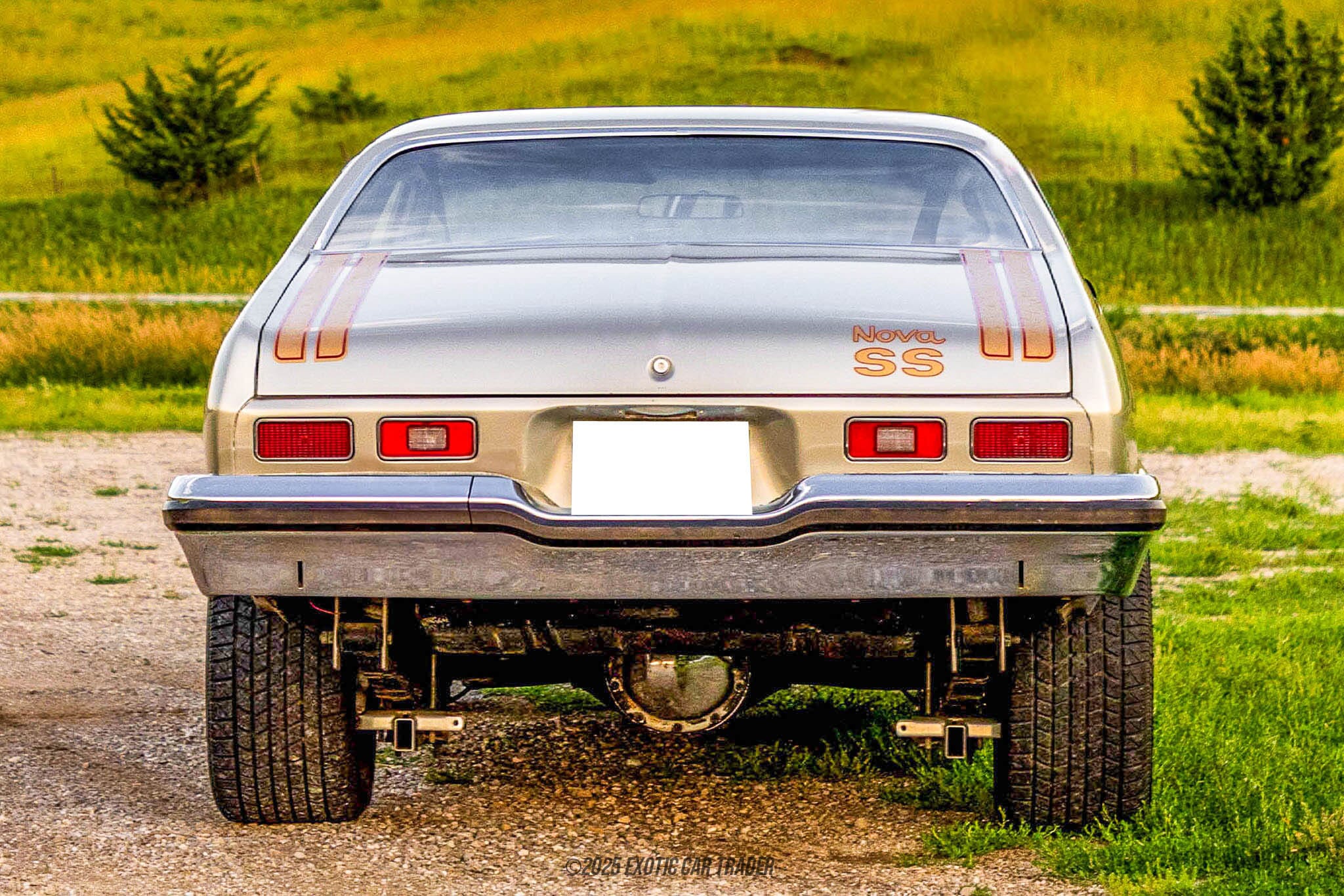 1974 Chevrolet Nova for Sale | Exotic Car Trader (Lot #250636654)